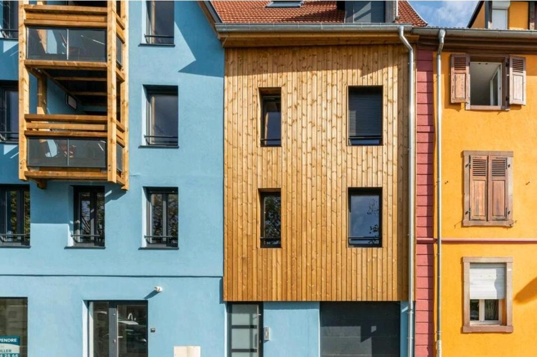 Le Nature 1 Chambre Et Sauna Colmar Exterior photo